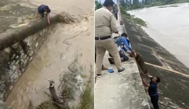 The Dog Was Trapped In The Flood, The Person Gave A New Life By Risking His Life, People Are Saluting, Watch The Video