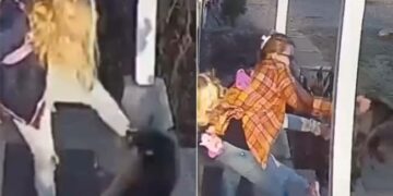 Mother Of The Year: Woman Saves Daughter From A Raccoon Attack