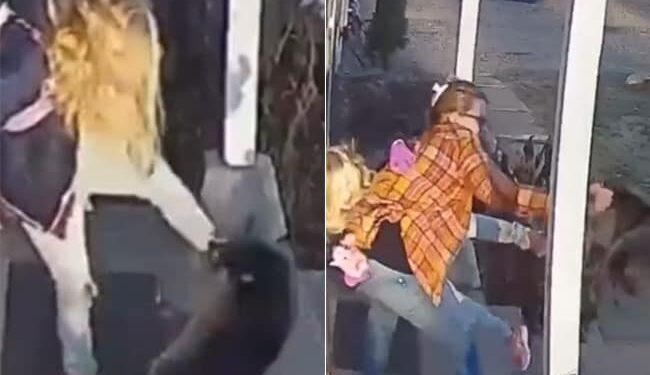 Mother Of The Year: Woman Saves Daughter From A Raccoon Attack