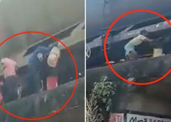 Viral Video: Bihar Thieves Steal Oil From Moving Goods Train In Patna Video