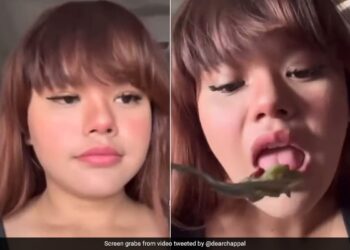 Girl Says What She Ate On The Day Of Her Father Shraadh In Vlog Internet Is Traumatised See Viral Video