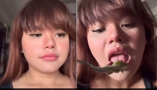Girl Says What She Ate On The Day Of Her Father Shraadh In Vlog Internet Is Traumatised See Viral Video