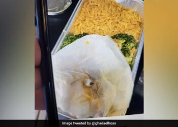 The Woman Found Teeth In The Food In The Flight, The Company Apologized For Tweeting, Said- We Are Sorry! – फ्लाइट में महिला को खाने में मिला दांत, ट्वीट करने पर कंपनी ने मांगी माफी, कहा