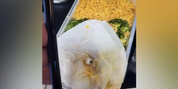 The Woman Found Teeth In The Food In The Flight, The Company Apologized For Tweeting, Said- We Are Sorry! – फ्लाइट में महिला को खाने में मिला दांत, ट्वीट करने पर कंपनी ने मांगी माफी, कहा