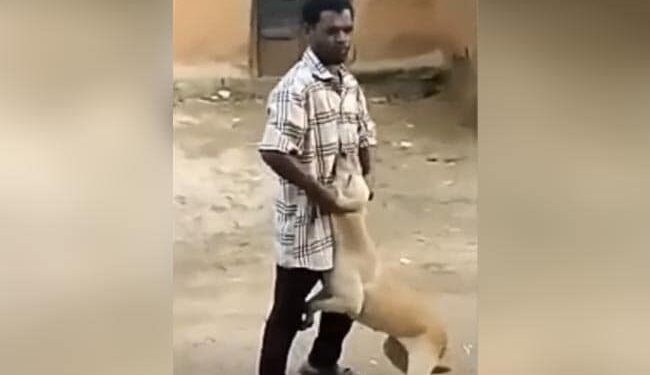 The Man Was Killing The Dog By Holding Its Ear, Then The Cow Retaliated By Hitting It With Its Horn, Everyone Said – Everyone Feels Pain – कुत्ते के कान को पकड़ कर मार रहा था शख्स, तभी गाय ने सींग से मारकर लिया बदला, सबने कहा