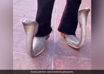 Harsh Goenka Asks For Captions For Snake-Shaped Shoes, Know The Funny Comments Ndtv Hindi Ndtv India – कोबरा वाले जूते पहन कर सड़क पर घूम रहा था शख्स, हर्ष गोयनका ने कहा