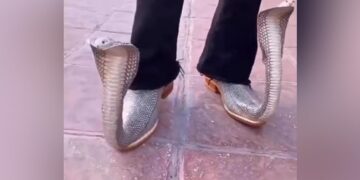 Harsh Goenka Asks For Captions For Snake-Shaped Shoes, Know The Funny Comments Ndtv Hindi Ndtv India – कोबरा वाले जूते पहन कर सड़क पर घूम रहा था शख्स, हर्ष गोयनका ने कहा
