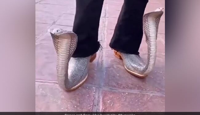 Harsh Goenka Asks For Captions For Snake-Shaped Shoes, Know The Funny Comments Ndtv Hindi Ndtv India – कोबरा वाले जूते पहन कर सड़क पर घूम रहा था शख्स, हर्ष गोयनका ने कहा