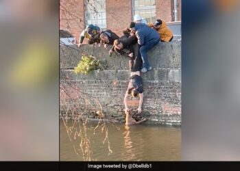 Watch Heart Warming Moment: Daring Stunt By Manchester Students To Rescue Dog Stuck In Canal