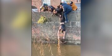 Watch Heart Warming Moment: Daring Stunt By Manchester Students To Rescue Dog Stuck In Canal