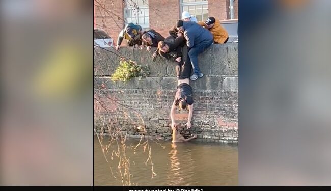 Watch Heart Warming Moment: Daring Stunt By Manchester Students To Rescue Dog Stuck In Canal
