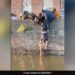 Watch Heart Warming Moment: Daring Stunt By Manchester Students To Rescue Dog Stuck In Canal