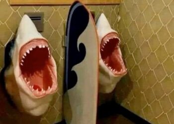 Harsh Goenka Shares Unique Photo: Harsh Goenka Shares Funny Photo Of Unique Shark Toilet, Picture Of Shark Open Mouth In Toilet