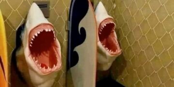 Harsh Goenka Shares Unique Photo: Harsh Goenka Shares Funny Photo Of Unique Shark Toilet, Picture Of Shark Open Mouth In Toilet