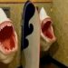 Harsh Goenka Shares Unique Photo: Harsh Goenka Shares Funny Photo Of Unique Shark Toilet, Picture Of Shark Open Mouth In Toilet