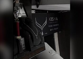 The Rat Stole The Diamond Necklace, Diamond Necklace Stolen By Rat Video Goes Viral