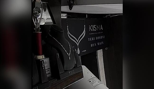 The Rat Stole The Diamond Necklace, Diamond Necklace Stolen By Rat Video Goes Viral