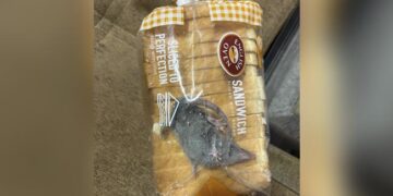 Man Finds Rat Inside Bread Packet Ordered From Blinkit Company Responds See Post Here