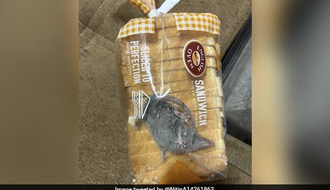 Man Finds Rat Inside Bread Packet Ordered From Blinkit Company Responds See Post Here