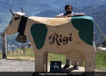 Harsh Goenka Was Seen Celebrating Hug Day With A Cow On The Occasion Of Valentines Day, Users Took A Dig Ndtv India Ndtv Hindi