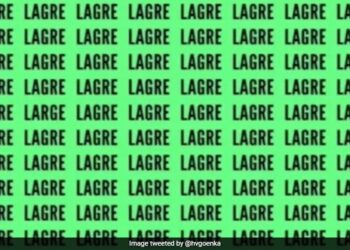 Can You Spot The Word Large In This Photo In 10 Seconds Businessman Harsh Goenka Gave Challenge See Optical Illusion