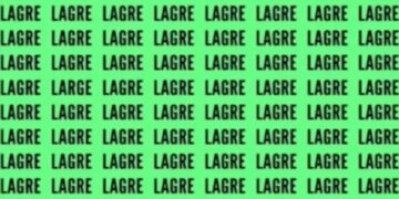 Can You Spot The Word Large In This Photo In 10 Seconds Businessman Harsh Goenka Gave Challenge See Optical Illusion