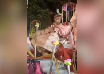 The Groom Was Getting Down From The Stage By Lifting The Bride In His Lap, Then Both Of Them Fell, You Will Laugh After Watching The Video Ndtv Hindi Ndtv India