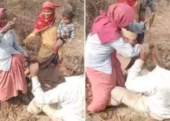 Valentine Day Special: Grandmother Gave Flowers And Said I Love You Watch Grandfather Reaction You Will Be Shocked Couldn’t Stop Laughing