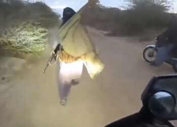 Mobile And Money Looted From A Person At Gunpoint, IPS Said – Pakistani Technique Of Toll Tax Ndtv Hindi Ndtv India – बंदूक की नोक पर शख्स से मोबाइल और पैसे लूट लिए, IPS ने कहा