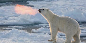 Polar Bear Breathes Fire In This Magical Photo You Will Not Believe