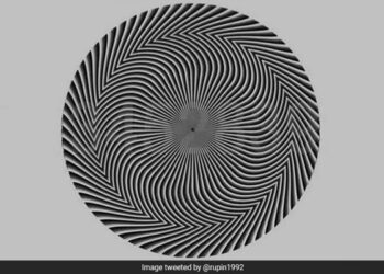 People Are Having Trouble Finding The Hidden Number In This Picture, Only Those With A Keen Eye Will Be Able To Find It.