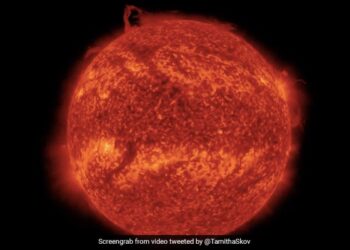 Huge Part Of Sun Broken Of Its Surface And Created A Tornado Like Swirl Around Its North Pole Scientists Stunned