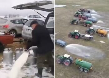 Lithuania Farmers Protest Against Low Price Of Milk: Video Of Farmers Spreading Milk In The Field Goes Viral,milk Viral Video