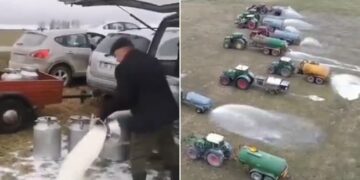 Lithuania Farmers Protest Against Low Price Of Milk: Video Of Farmers Spreading Milk In The Field Goes Viral,milk Viral Video
