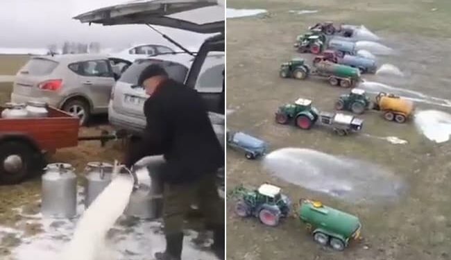 Lithuania Farmers Protest Against Low Price Of Milk: Video Of Farmers Spreading Milk In The Field Goes Viral,milk Viral Video