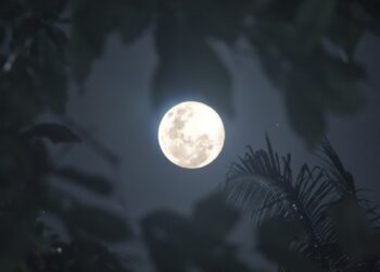 A Team Of Scientists Has Discovered A Unique Group Of Ancient Lunar Basaltic Meteorites Ndtv India Ndtv Hindi