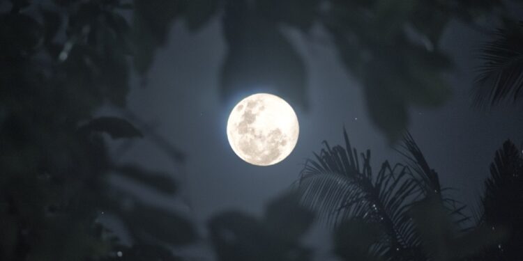 A Team Of Scientists Has Discovered A Unique Group Of Ancient Lunar Basaltic Meteorites Ndtv India Ndtv Hindi