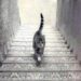 What Is Coming In The Picture | OPTICAL ILLUSION OF A CAT COULD REVEAL | In This Mysterious Picture What Was The First Thing You Saw