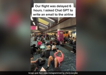 Woman Asks ChatGPT To Write Email After Flight Delay, See What AI Wrote? Will Be Surprised Ndtv Hindi Ndtv India