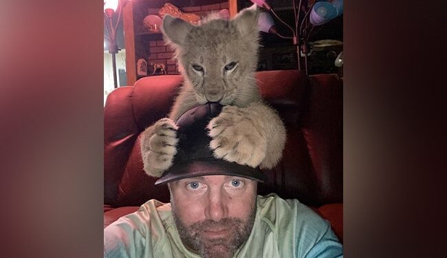 OMG: This Person Got Stuck Between Two Lions, You Will Be Surprised To See The Video, Watch Viral Video Ndtv Hindi Ndtv India