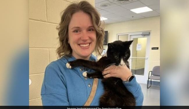 Grand Celebration Took Place On The Birthday Of The Cat, Watching The Video You Will Also Say – Brother Wow! – बिल्ली के बर्थडे पर हुआ ग्रैंड सेलिब्रेशन, वीडियो देख आप भी कहेंगे