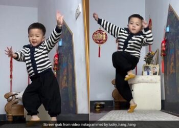 Big Fan Of Shah Rukh Khan, This Child Of China, Seeing The Dance, Kylie Paul Also Said- Jai Hind! Ndtv Hindi Ndtv India – शाहरुख खान का जबर्दस्त फैन ये चीन का बच्चा, डांस देख कर किली पॉल ने भी कहा