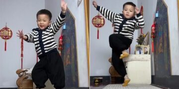 Big Fan Of Shah Rukh Khan, This Child Of China, Seeing The Dance, Kylie Paul Also Said- Jai Hind! Ndtv Hindi Ndtv India – शाहरुख खान का जबर्दस्त फैन ये चीन का बच्चा, डांस देख कर किली पॉल ने भी कहा