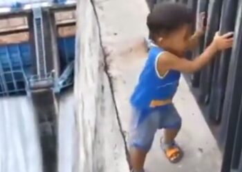 Kirti Azad Was Surprised To See This Child Standing At A Height, Said- Social Media Is Very Different! Ndtv Hindi Ndtv India – ऊंचाई पर खड़े इस बच्चे को देखकर हैरान हो गए Kirti Azad, कहा