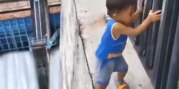 Kirti Azad Was Surprised To See This Child Standing At A Height, Said- Social Media Is Very Different! Ndtv Hindi Ndtv India – ऊंचाई पर खड़े इस बच्चे को देखकर हैरान हो गए Kirti Azad, कहा