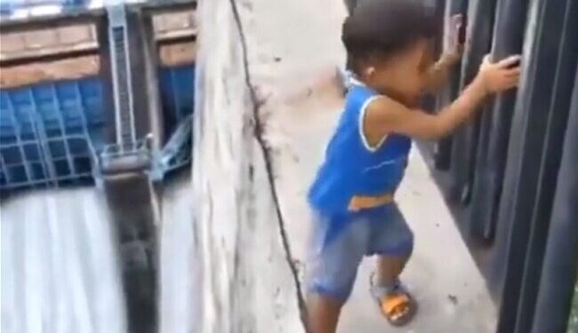 Kirti Azad Was Surprised To See This Child Standing At A Height, Said- Social Media Is Very Different! Ndtv Hindi Ndtv India – ऊंचाई पर खड़े इस बच्चे को देखकर हैरान हो गए Kirti Azad, कहा