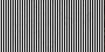 Can You Spot An Animal Behind Lines: Can You Find What Is Hidden Behind These Black And White Lines Within 10 Seconds Optical Illusion