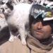 Animal Started Loving The Person Who Saved The Cats Life, Is Not Leaving At All, Watch Emotional Video Ndtv India Ndtv Hindi