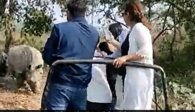 Chilling Video Shows Rhinos Chasing Tourists On Wildlife Safari, Jeep Falls Into Pit Ndtv Hindi Ndtv India