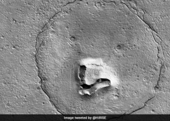 Bears Face Seen On Mars, Surprised People Said- NASA Is Hiding A Lot From Us NDTV Hindi NDTV India – मंगल ग्रह पर दिखा भालू का चेहरा, हैरान होकर लोगों ने कहा